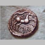 stater